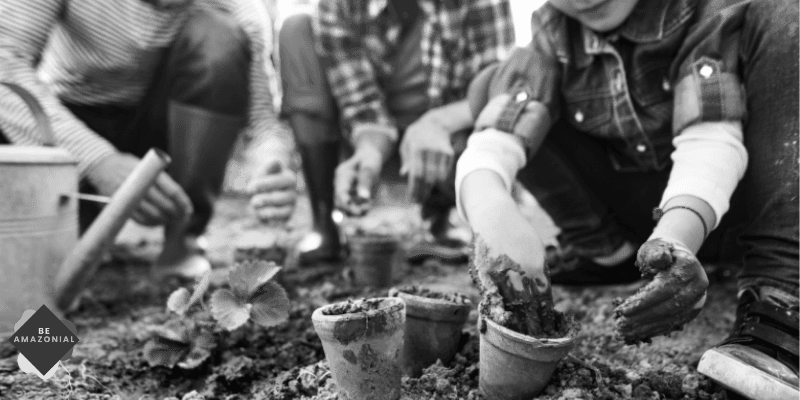 Environnement : accepter une nouvelle normalité pour changer la trajectoire collective