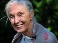 Jane goodall