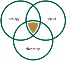Value ecology digital diversity